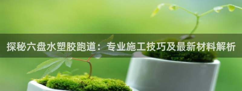 红足1世足球网址大全：探秘六盘水塑胶跑道：专业施工技巧及最新材料解析