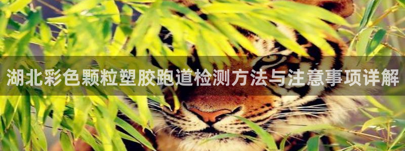 红足1世手足球比分：湖北彩色颗粒塑胶跑道检测方法与注意事项详解