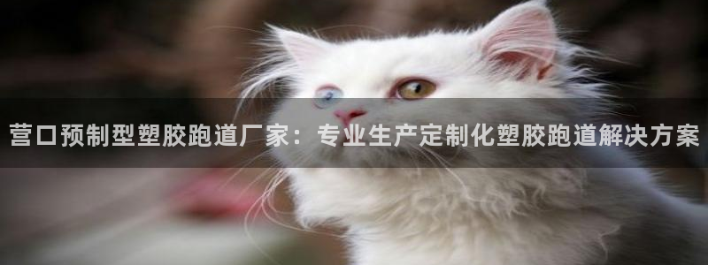 红足一一世：营口预制型塑胶跑道厂家：专业生产定制化塑胶跑道解决方案