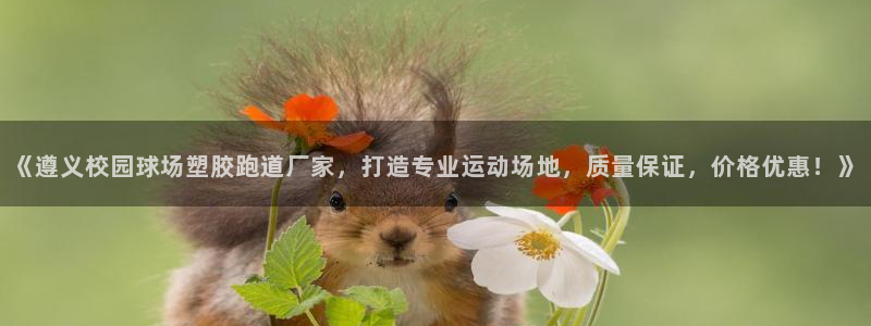 红足1世开奖预测：《遵义校园球场塑胶跑道厂家，打造专业运动场地，质量保证，价格优惠！》
