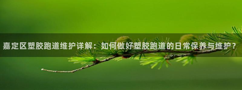 红足1一世足球手机