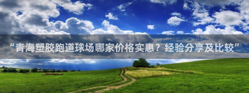 红足一1世官网：“青海塑胶跑道球场哪家价格实惠？经验分享及比较”