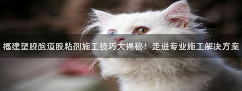 红足1世足球比分网址：福建塑胶跑道胶粘剂施工技巧大揭秘！走进专业施工解决方案
