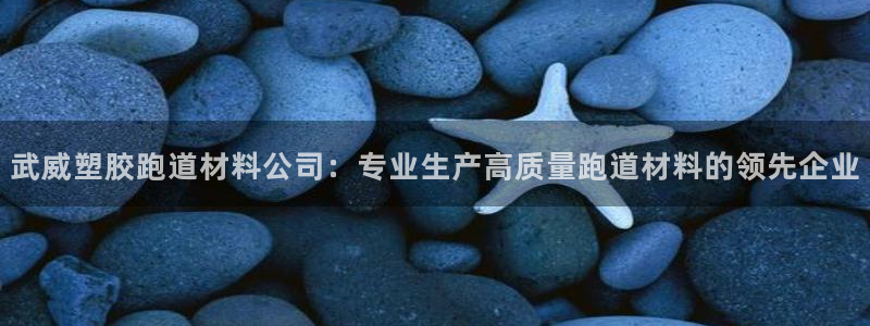 666814红·足一世比分：武威塑胶跑道材料公司：专业生产高质量跑道材料的领先企业