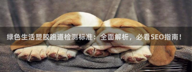红足1世开奖预测：绿色生活塑胶跑道检测标准：全面解析，必看SEO指南！