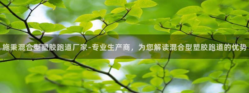 55814红足1世：施秉混合型塑胶跑道厂家-专业生产商，为您解读混合型塑胶跑道的优势