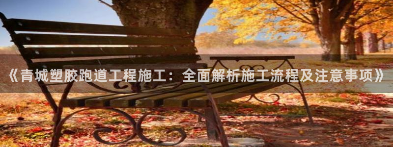 红足1世1站2站管理网：《青城塑胶跑道工程施工：全面解析施工流程及注意事项》