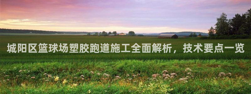 红足1世足球比分网址：城阳区篮球场塑胶跑道施工全面解析，技术要点一览