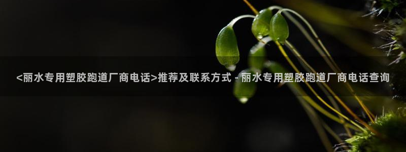 333814红·足一世比分：<丽水专用塑胶跑道厂商电话>推荐及联系方式 - 丽水专用塑胶跑道厂商电话查询
