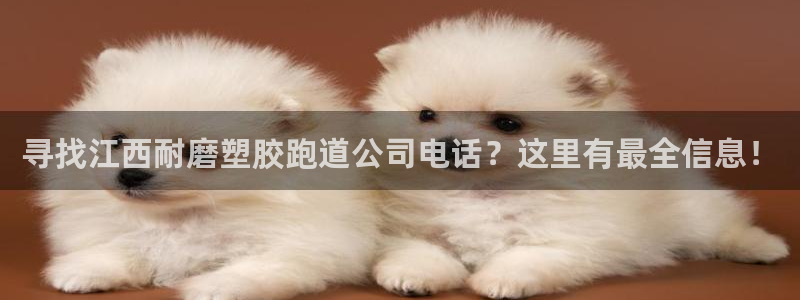 红足 世足球手机网：寻找江西耐磨塑胶跑道公司电话？这里有最全信息！