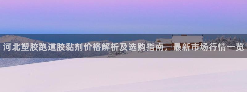 红足一1世66814：河北塑胶跑道胶黏剂价格解析及选购指南，最新市场行情一览