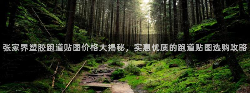 红世一足球比分：张家界塑胶跑道贴图价格大揭秘，实惠优质的跑道贴图选购攻略