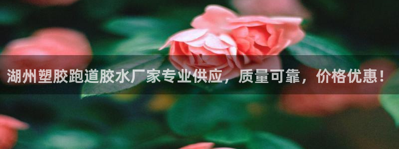 55814红足1世