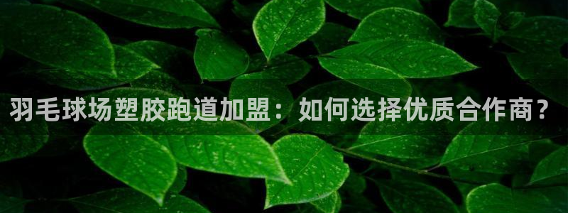 红足一：羽毛球场塑胶跑道加盟：如何选择优质合作商？