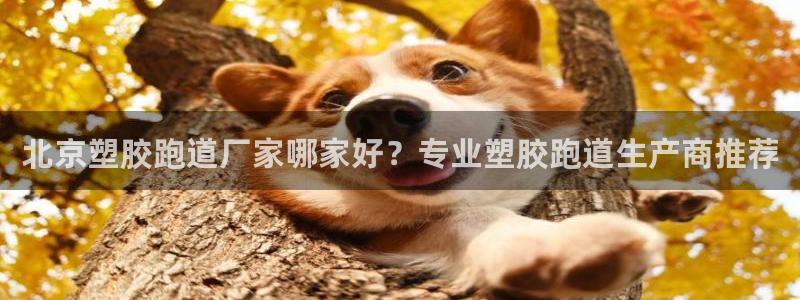 红足一球：北京塑胶跑道厂家哪家好？专业塑胶跑道生产商推荐