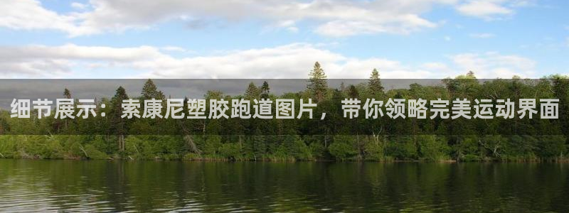 红足一1世：细节展示：索康尼塑胶跑道图片，带你领略完美运动界面