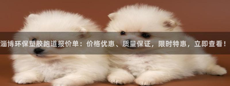 红足一1世66814新宝：淄博环保塑胶跑道报价单：价格优惠、质量保证，限时特惠，立即查看！