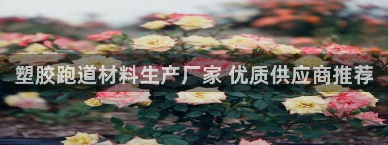 777814红·足一世比分：塑胶跑道材料生产厂家 优质供应商推荐