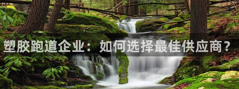 红足一1世手机版新皇冠