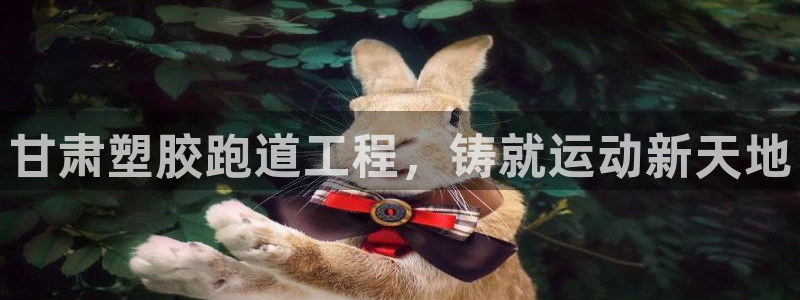 红足一丰：甘肃塑胶跑道工程，铸就运动新天地