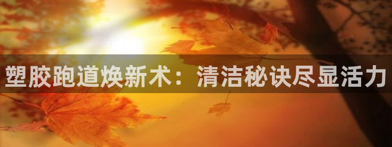 红足一1世666814足球：塑胶跑道焕新术：清洁秘诀尽显活力