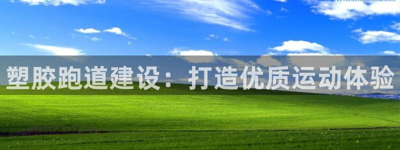 百度红足一1使用说明：塑胶跑道建设：打造优质运动体验