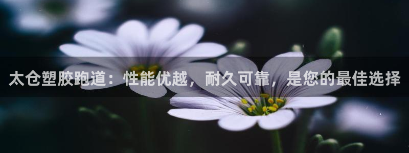 红足1世手机版下载