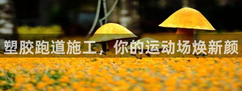 4633333开奖结果4176一点红：塑胶跑道施工，你的运动场焕新颜