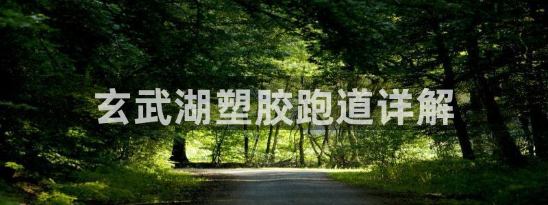 红足一1世皇冠地址：玄武湖塑胶跑道详解