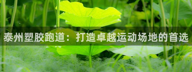 红足一1世比分球探：泰州塑胶跑道：打造卓越运动场地的首选