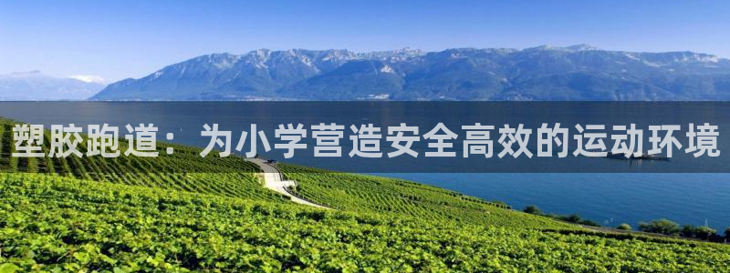 66814红足一66814世：塑胶跑道：为小学营造安全高效的运动环境
