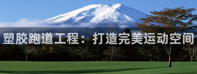 红足1世足球：塑胶跑道工程：打造完美运动空间