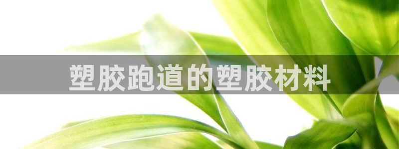 红足1世手机版下载：塑胶跑道的塑胶材料