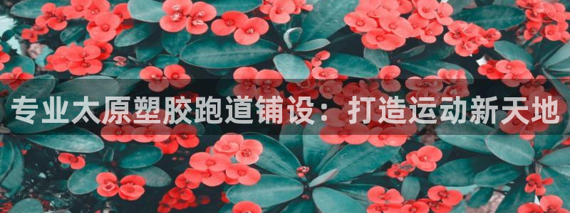 红足一1世官网：专业太原塑胶跑道铺设：打造运动新天地