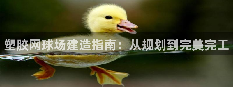百度红足一1使用说明：塑胶网球场建造指南：从规划到完美完工