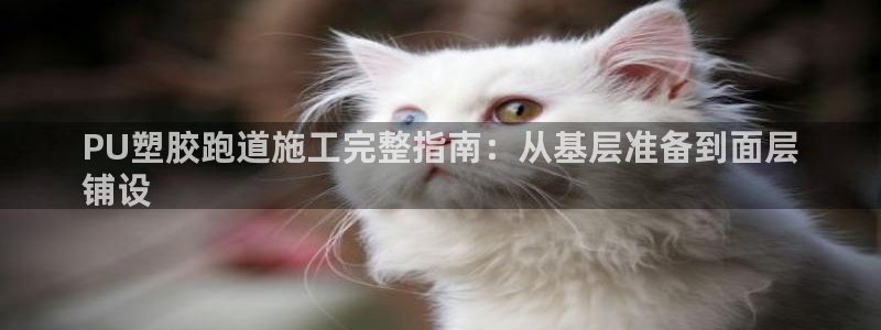 红足1一世红：PU塑胶跑道施工完整指南：从基层准备到面层
铺设