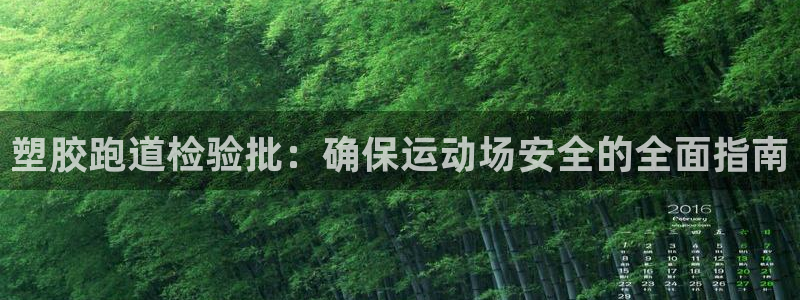 红姐现场直播开奖记录：塑胶跑道检验批：确保运动场安全的全面指南