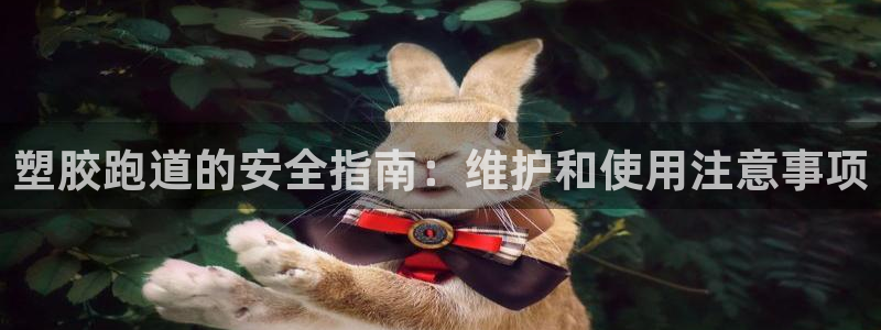 红足体育网：塑胶跑道的安全指南：维护和使用注意事项