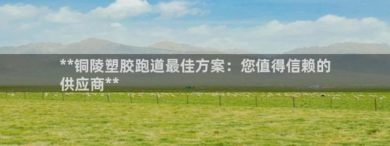 红足一一世：**铜陵塑胶跑道最佳方案：您值得信赖的
供应商**