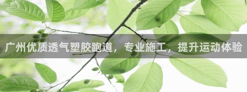 红足一一世：广州优质透气塑胶跑道，专业施工，提升运动体验