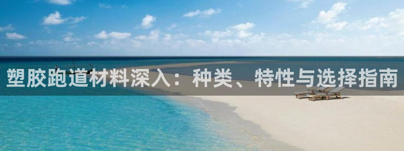 红足一1世官网：塑胶跑道材料深入：种类、特性与选择指南