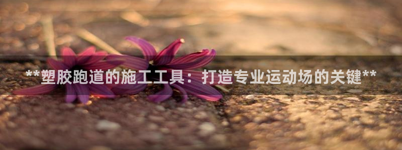 红足1世手机下载：**塑胶跑道的施工工具：打造专业运动场的关键**