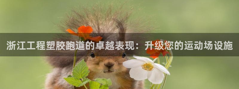 红足1一世：浙江工程塑胶跑道的卓越表现：升级您的运动场设施