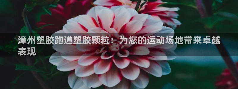 百度红足一1是什么样子的：漳州塑胶跑道塑胶颗粒：为您的运动场地带来卓越
表现
