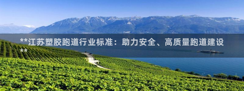 红足一1世666814足球：**江苏塑胶跑道行业标准：助力安全、高质量跑道建设
**