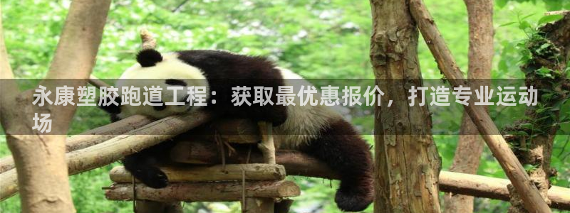 红足1世手机板：永康塑胶跑道工程：获取最优惠报价，打造专业运动
场