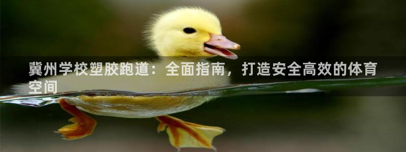 红足1一世：冀州学校塑胶跑道：全面指南，打造安全高效的体育
空间