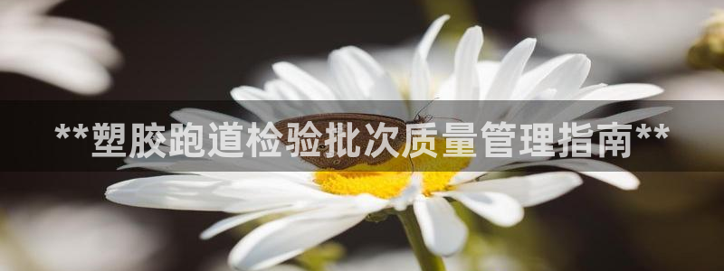 红足1一世足球手机：**塑胶跑道检验批次质量管理指南**