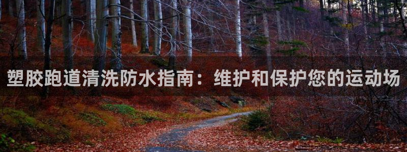 百度红足一1是为什么：塑胶跑道清洗防水指南：维护和保护您的运动场