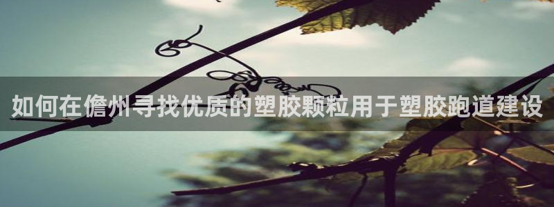 红足一1世666814足球比分网：如何在儋州寻找优质的塑胶颗粒用于塑胶跑道建设
